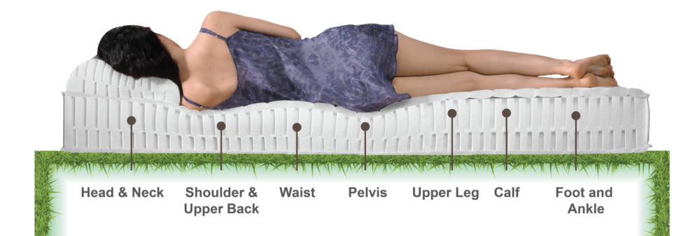 High Quality Latex Mattress/Pillow - My Philea